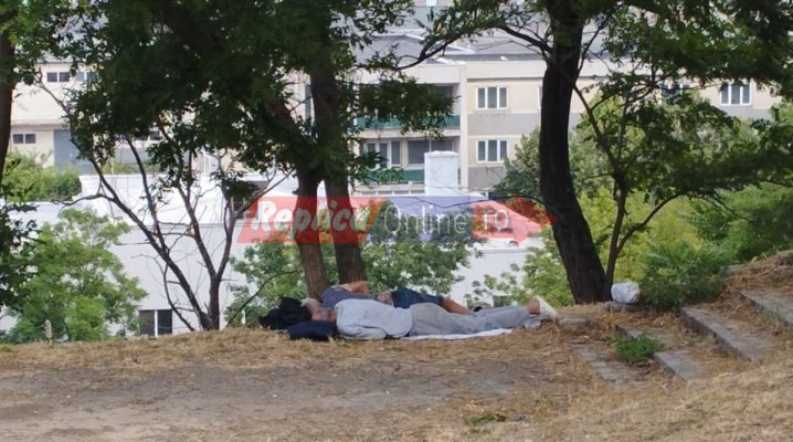 Doi vagabonzi și-au făcut cuib lângă o ruină lăsată în paragină! Video