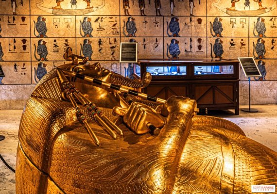 Ciuperca ucigașă, din mormântul lui Tutankhamon, devine leac. Aceasta este folosită în lupta cu cancerul