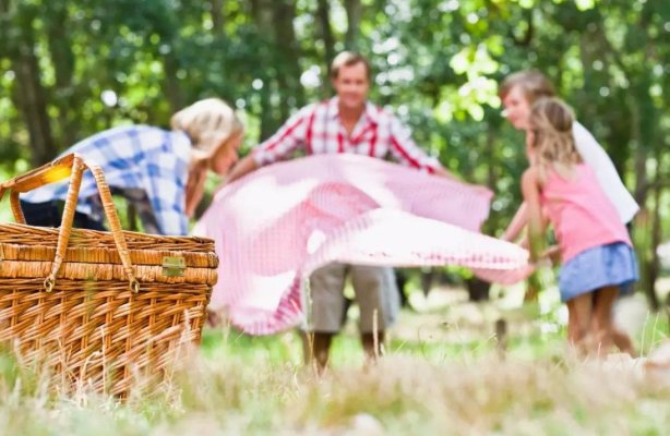 15 minute în natură îmbunătățesc starea psihică, chiar fără mișcare