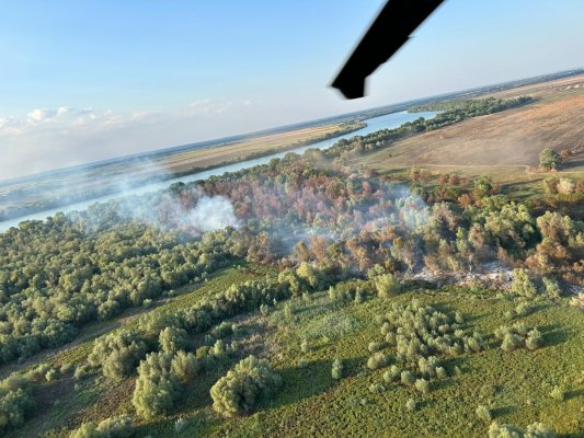 Incendiu de vegetație în județul Tulcea. Flăcări pe 6 hectare în zona Chilia Veche. Video