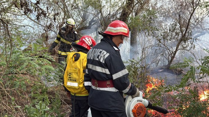 Pompierii încă se luptă să stingă incendiul de vegetație din Tulcea. Au apărut noi focare