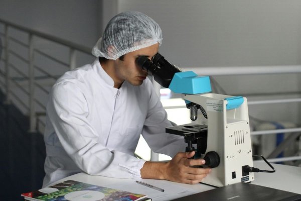 Oamenii de știință au creat o pulbere care oprește într-o secundă și cea mai puternică hemoragie