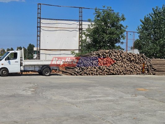 Majorarea TVA a intrat în vigoare. Constănțenii au dat buluc la depozitele de lemne. Video