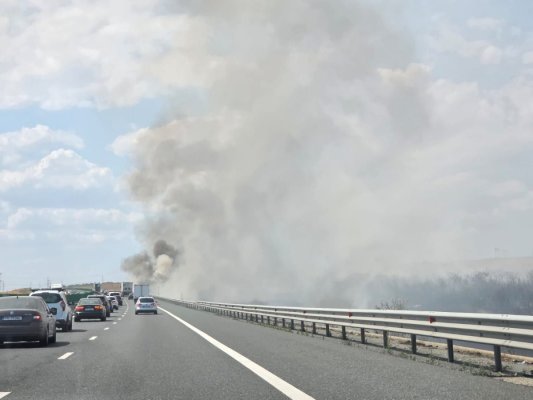 Incendiu de vegetație uscată între Medgidia și Valea Dacilor: Autostrada este plină de fum! Video