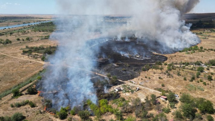 Incendiu violent de vegetație, în Medgidia! Un bărbat a fost găsit carbonizat. Video
