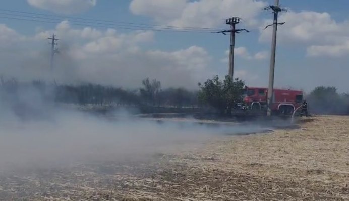 Incendiu de vegetație pe A2, la Km 167! Video