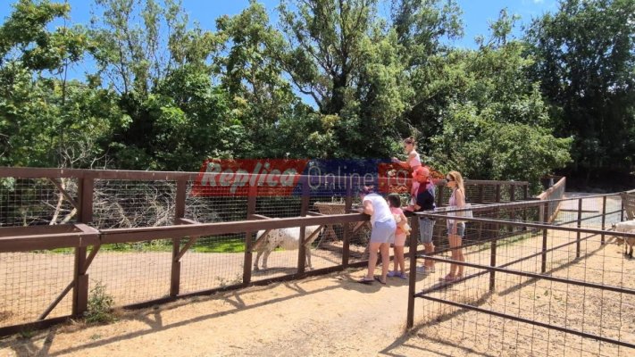 Delfinariu Constanța: Mica grădină zoologică din Microrezervație