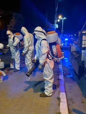 Primăria Năvodari, acțiuni de dezinsecție