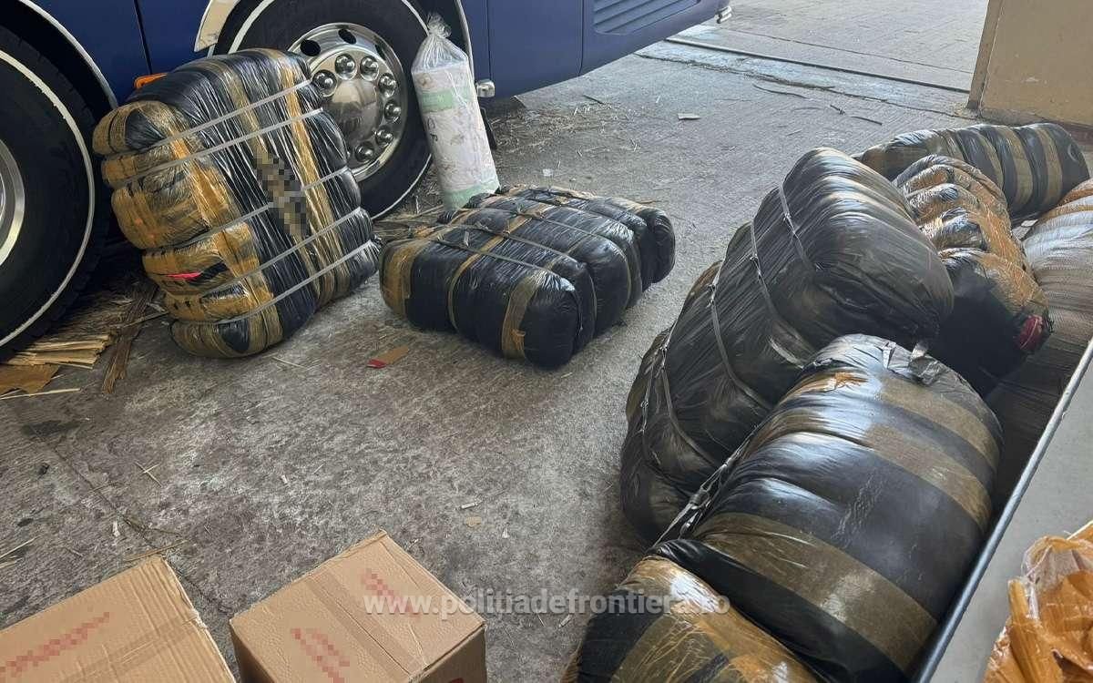 Marfuri contrafacute, in valoare de 469.500 lei, descoperite de politistii de frontiera pe ruta Turcia-Romania Marfuri contrafacute, in valoare de 469.500 lei, descoperite de politistii de frontiera pe ruta Turcia-Romania