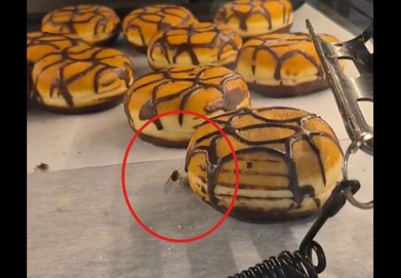 Jale la magazinul la LIDL din zona Tomis 3! Gândacii colcăie pe produsele de patiserie. Video