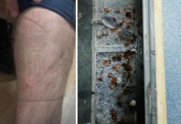 Scandal! Agenți muşcaţi de ploşniţe, în sediile Poliţiei Capitalei. 10 persoane au ajuns la spital