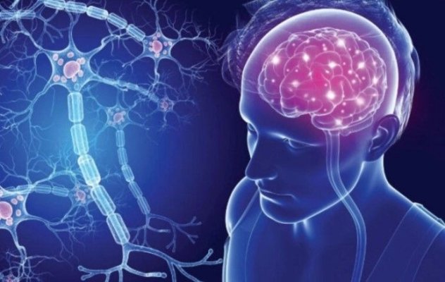 Un simplu fir de păr ar putea deveni un instrument util pentru diagnosticarea mai rapidă a sclerozei laterale amiotrofice