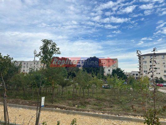 Prima „mini-pădure“ urbană, din Inel II, aproape de finalizare. Video 