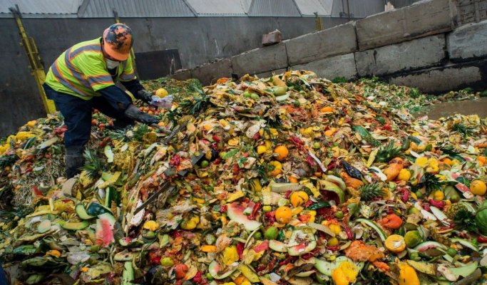 România risipește milioane de tone de alimente anual: cum poate fi oprit haosul din farfurii