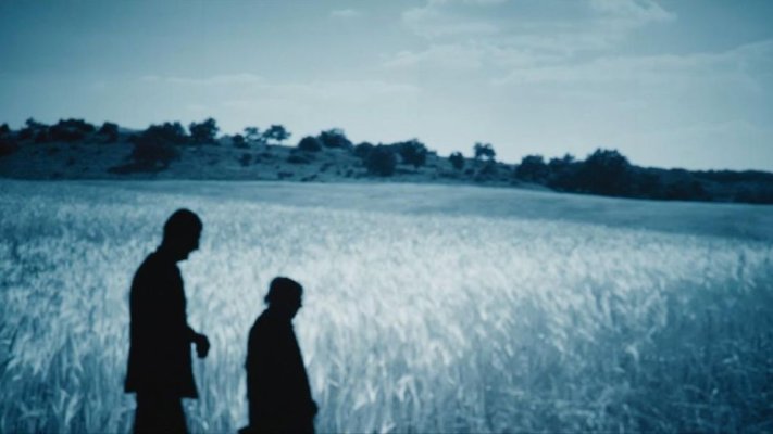 Regizorul Tudor Giurgiu vine la Constanța pentru premiera filmului „Pădurea de molizi”