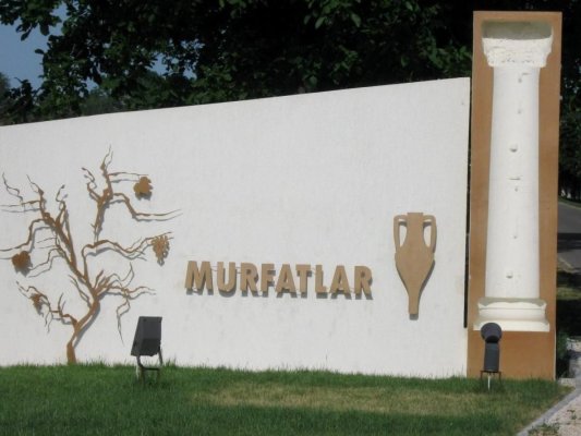 O firmă din gruparea Murfatlar, care produce țigările Carpați și Snagov, are datorii de 130 de milioane de euro la bugetul statului  