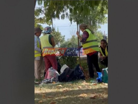 În loc să adune frunzele, angajații de la Spații Verzi le taie la câini! Video