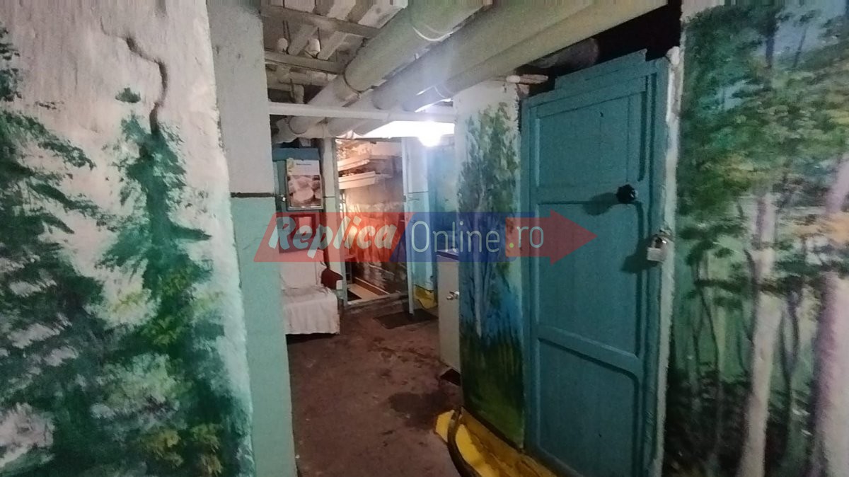 Locatarii unui imobil din KM 4-5 și-au dat doctoratul pe pereții din ...