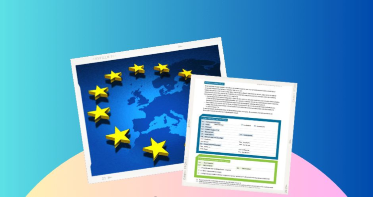 Firmele care trimit angajați în UE fără dovada achitării contribuțiilor sociale vor fi amendate  
