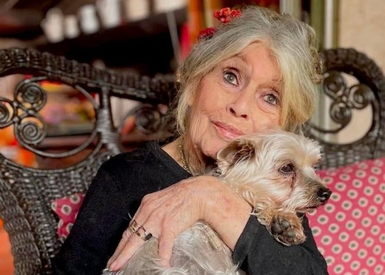 Brigitte Bardot, internată în spital de trei săptămâni. Actrița se confruntă cu probleme serioase de sănătate