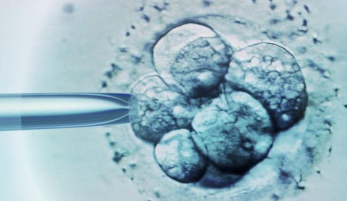 Copiii ar putea fi creați din pielea părinților, după experimentul unor geneticieni din SUA