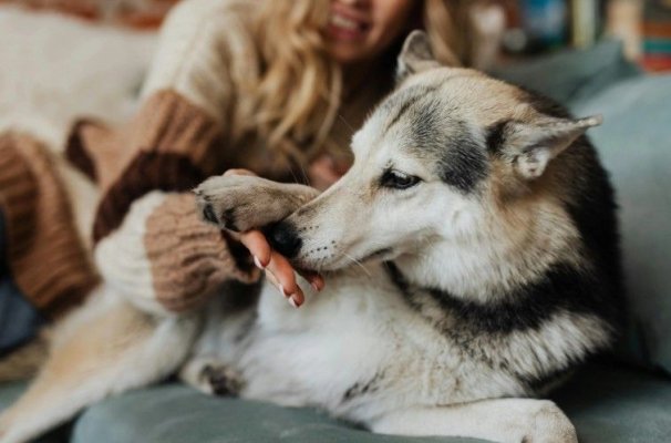 Femeile care petrec timp cu câinii îmbătrânesc mai lent, spun cercetătorii