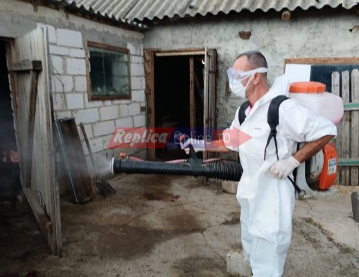 Că tot se apropie Crăciunul... s-a descoperit un focar de Pestă Porcină în Nicolae Bălcescu