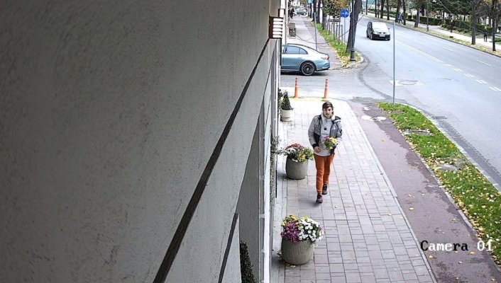 La Constanța a început să se fure… ghivecele cu flori din casa scării și din fața blocurilor! Video 