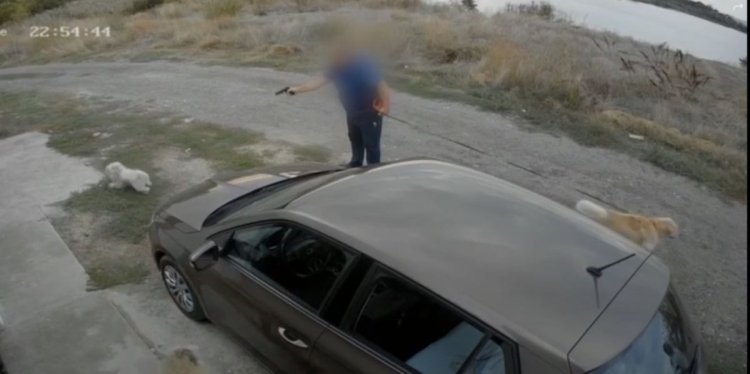 Poliția sancționează un bărbat pentru folosirea abuzivă a unui pistol airsoft împotriva unui câine