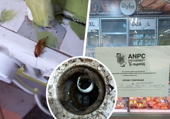 Mizerie de nedescris și gândaci, la un magazin alimentar din Tomis 3. A fost închis de inspectorii OPC. Video