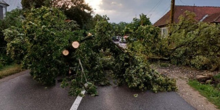 Pompierii din București, în alertă! Zeci de intervenții în urma codului portocaliu