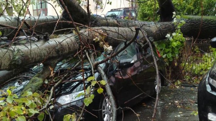 Ciclonul Barbara a făcut ravagii și în București: zeci de copaci prăbușiți și mașini avariate