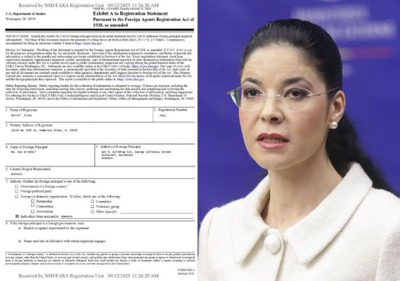 DOCUMENT! O adevărată „bombă“ a explodat. Ana Birchall s-a oferit să devină agent CIA în România