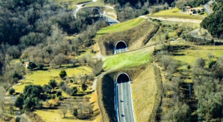 Autostrada Brașov – Făgăraș va avea 50 km, 46 de poduri, două tuneluri cut&cover și un ecoduct