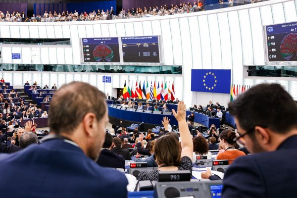 Eurodeputații români se unesc și cer majorarea subvenției pentru fermieri