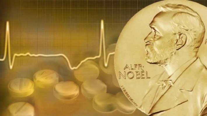 Trei cercetători câștigă Premiul Nobel pentru Medicină 2025 - ce descoperire revoluționară au făcut