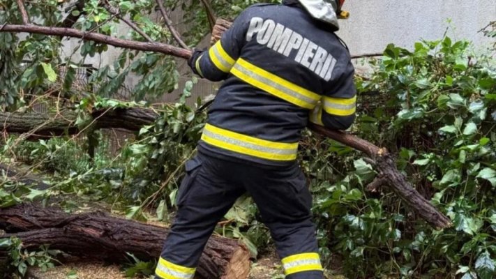 Cod portocaliu în București! Prima victimă după ce un copac prăbușit pe un autoturism în mers