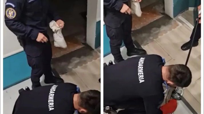 Un piton a evadat chiar din vecinătatea Catedralei Neamului