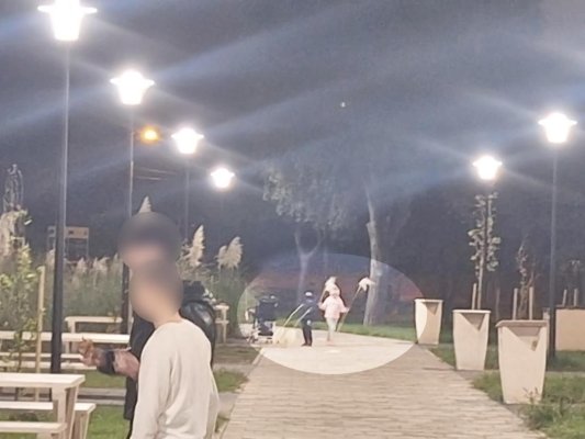  Plante decorative sustrase din Parcul Poarta 6 – Poliția Locală are în vizor autorii