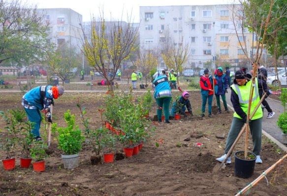 Primăria Constanța înfrumusețează cartierul Inel II cu arbori și arbuști ornamentali