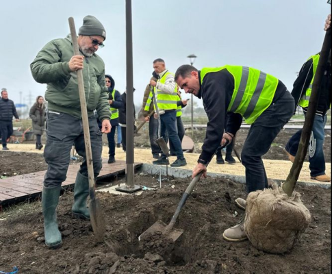 De ziua Dobrogei, s-au plantat copaci în parcul „Perdeaua Verde” 