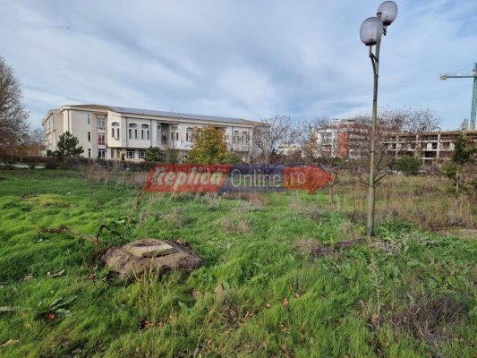 Bălăriile din campusul Universității Ovidius... „bat“ în geamul biroului rectorului Marcel Iliescu! Video 