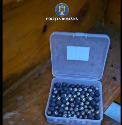 Un bărbat de 58 de ani din Valu lui Traian este cercetat pentru rănirea cu intenție a animalelor. Video
