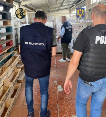 Portul Constanța rămâne, în continuare, poarta marilor fraude fiscale din România