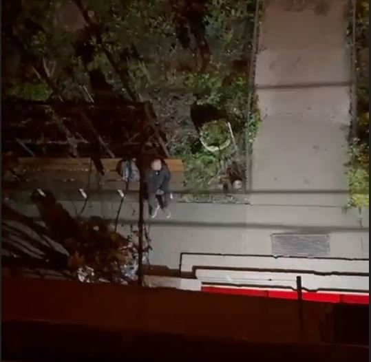 Beti morti, doi barbati din Constanta au fost surprinsi in timp ce chinuiau o pisica!  Video