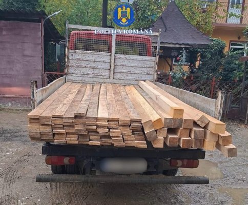 Dosar penal pentru transport ilegal de lemne în Medgidia: șofer prins cu acte suspecte