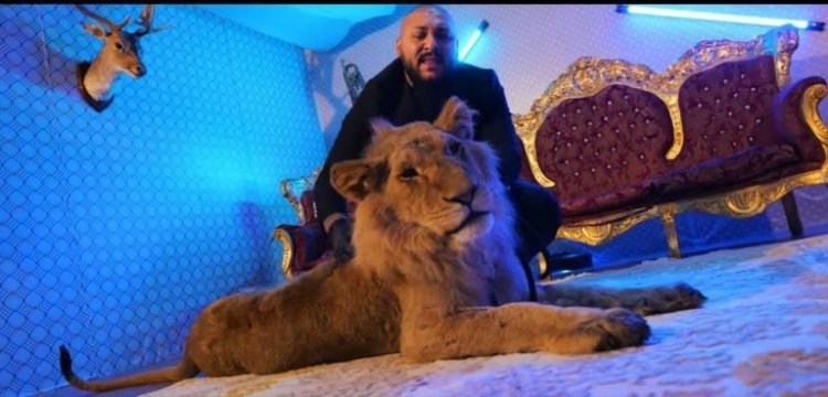 Dani Mocanu face avere după condamnare! Conturile artistului au bubuit