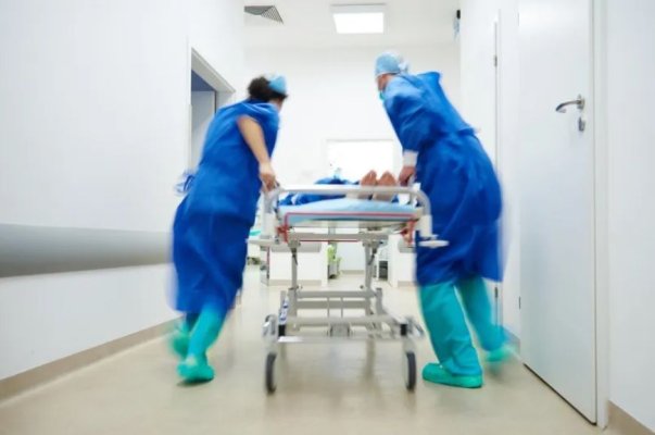 O elevă de 17 ani de la un liceu de elită a murit, după ce a mâncat fructe roşii de la o plantă ornamentală