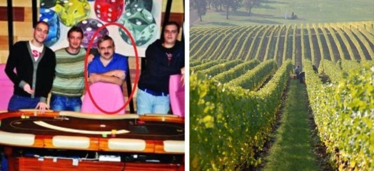 60 de hectare de viță de vie din Dobrogea se vând la licitație de 9 ani... și nu le cumpără nimeni! 