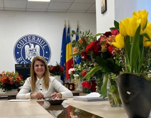Președinta Agenției Naționale pentru Achiziții Publice și-a dat demisia 